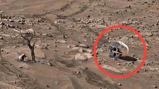 NASA Sends Stunning Images from Perseverance Rover on Mars - Sol 1205 | Mars Video