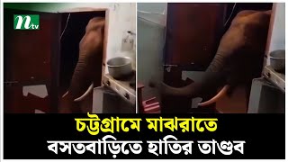 চট্টগ্রামের আনোয়ারায় মাঝরাতে বসতবাড়িতে হাতির তা ণ্ড ব | Elephant | CTG | NTV News