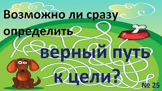 № 25. Возможно ли сразу определить верный путь к цели?