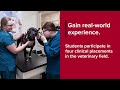 gateway technical college veterinary technician