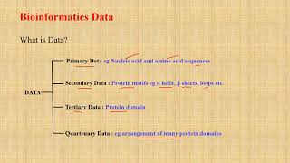 Introduction To Bioinformatics And Summary For Beginners