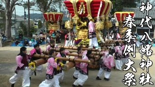 平成28年 神代八幡神社春祭り本宮3 練り 城家 小路