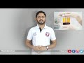 what is plasma ll what is plasma theraphy ll antibodies means ll ప్లాస్మా అంటే ఏమిటి