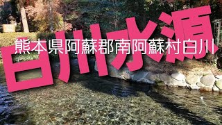 名水『白川水源』は尽きることを知らない次から次へと湧き出る魔法の水源で透明度が抜群！