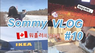 [캐나다 브이로그] Sommy VLOG #10 캘거리 어학원 워홀러의 평범한 일주일 (어학원친구들 / 윙즈데이 / 아이스하키 / 캘거리플레임스 직관 / IKEA 구경)