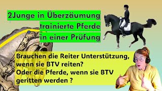 2 BTV trainierte Junghengste in einer Prüfung