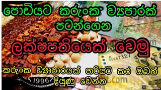 Best Business To Star In Sri Lanka 4 | Sinhala | Karunka