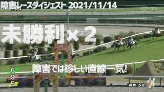 障害レースダイジェスト2021/11/14　#競馬#障害レース