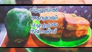 പച്ച പപ്പായ കൊണ്ട് ഇങ്ങനെയൊരു സ്നാക്സ് തയ്യാറാക്കി നോക്കൂ ആരെയും ഞെട്ടിക്കും # papaya recipe snacks