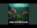 Every flower glows