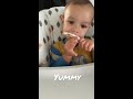 cute baby eating toast blw baby self feeding baby starting food blw babyfood cute yummy fun