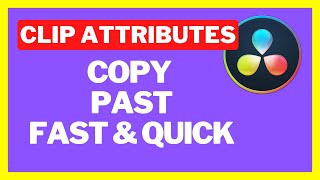 Copy And Paste Clip Attributes and Effects In DaVinci Resolve 18