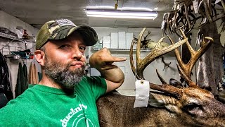 How to REPAIR ANTLERS using Apoxie sculpt! ***SUPER EASY*** WHITETAIL TAXIDERMY!