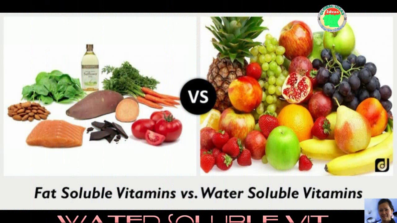 ស្វែងយល់ពីវីតាមីន | Vitamin Explanation ~ FAT Soluble Vs WATER Soluble ...