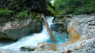 relaxing waterfall nature sounds  #relaxingsounds #shortsvideo