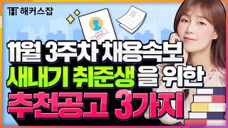 취준생 🚥 11월 3주차 취업 준비 초보 새내기 취준생을 위한 추천 공고 3가지 모음! ｜채용it!슈 6탄｜해커스잡 조은희｜취업, 취업 사이트, 취업 스펙