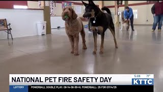 RFD shares tips on National Pet Fire Safety Day