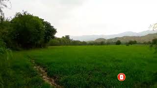 harnai Balochistan a Rainy weather