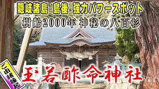 玉若酢命神社◆八百杉・見て無病息災・健康長寿「隠岐パワースポット」島後・三大杉◆御朱印