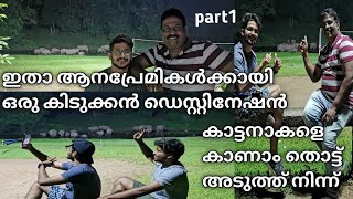 ആനപ്രേമികൾക്കായി ഇതാ ഒരു കിടുക്കൻ ഡെസ്റ്റിനേഷൻ|മണിക്കൂറുകളോളം കണ്ടാസ്വദിക്കാം ഈ കാട്ടാന കൂട്ടങ്ങളെ.