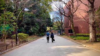 Walking in Early Spring Ueno, Tokyo with binaural sounds / 4K HDR