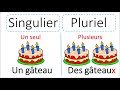 grammaire apprendre le singulier et le pluriel