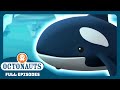 @Octonauts - 🧊 The Arctic Orcas 🐳 | Season 1 | Full Episodes | Cartoons for Kids