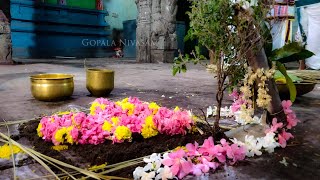 Sri Rajagopalaswamy Temple Mannargudi Pavithra Utsavam Miruthshangahanam