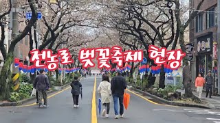 전농로 왕벚꽃축제(제12기 제주시 SNS 시민기자단 축제현장팀 팸투어 김혜정)