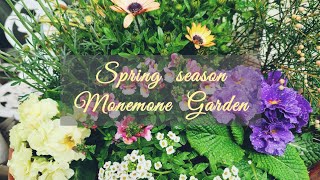 2021.3.6 ☆Spring season ☆春の球根、花たちが庭に芽吹き、咲く準備をしています。Monemone Garden