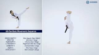 6th Dan Basic Movements Sequence