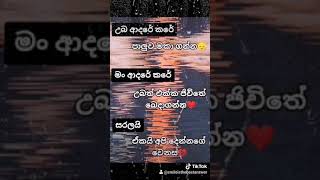 Hamoma Kiwwa | හැමෝම කිව්වා | Raveen Tharuka (Adarayen Sadarayen) Song