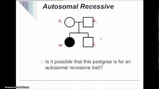 Pedigree Analysis Practice