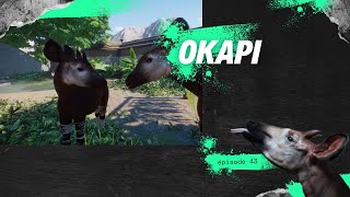 L'enclos des okapis - Planet Zoo - épisode 43