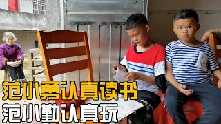 范小勇在认真读书，范小勤在认真玩，不喜欢读书娄哥只能哄他读【娄哥蹭饭正能量】