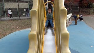 【Japanese Slide】岡崎市東公園 恐竜モニュメント・スピノサウルスのすべり台