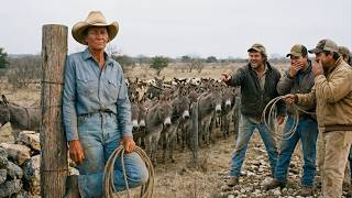 Everyone LAUGHED when SHE bought 50 DONKEYS at auction — until the coyotes showed up…