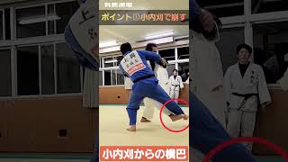 #shorts 【🌐小内刈から流れを作り横巴で投げる💥】JUDO TOMOENAGE