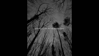 Homemade Weapons \u0026 Voidloss - Bloodlillies In The Moonlight