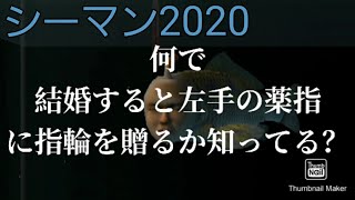 シーマン2020  結婚について語るシーマン