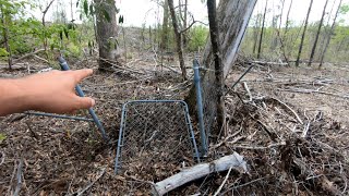 143 Year Old Cemetery DESTROYED By Logging! A Return Trip