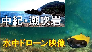 中紀の人気地磯・潮吹岩周辺の海中を水中ドローンで調べてみた[ROV]