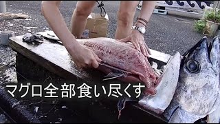 【奄美大島】釣りガール　巨大魚を丸ごと捌く