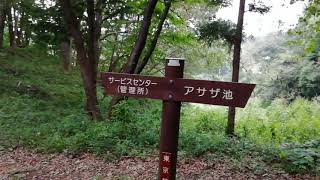 小山田緑地を歩いてみた❗