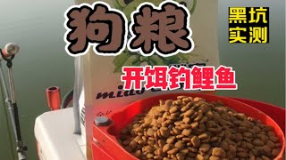 黑坑实测狗粮开饵钓鲤鱼 散炮肉夹馍 孔雀羽浮漂