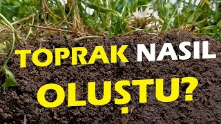 Toprak Nasıl Oluştu?