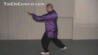 24 Form Tai Chi - Lesson 15 - High Pat on Horse