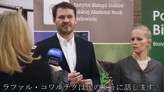 バイソンの群れを見て、奇妙な点に気付きました！双眼鏡を覗いて、思わず目を疑いました！