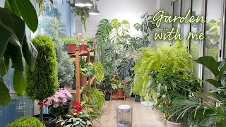 Garden with me (겨울 베란다 정원 근황)