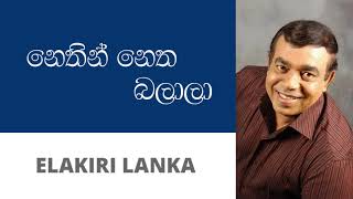 නෙතින් නෙත බලාලා - රෝහණ බෝගොඩ | Nethin netha balala - Rohana Bogoda